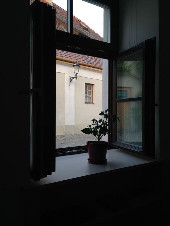 Historical Znojmo